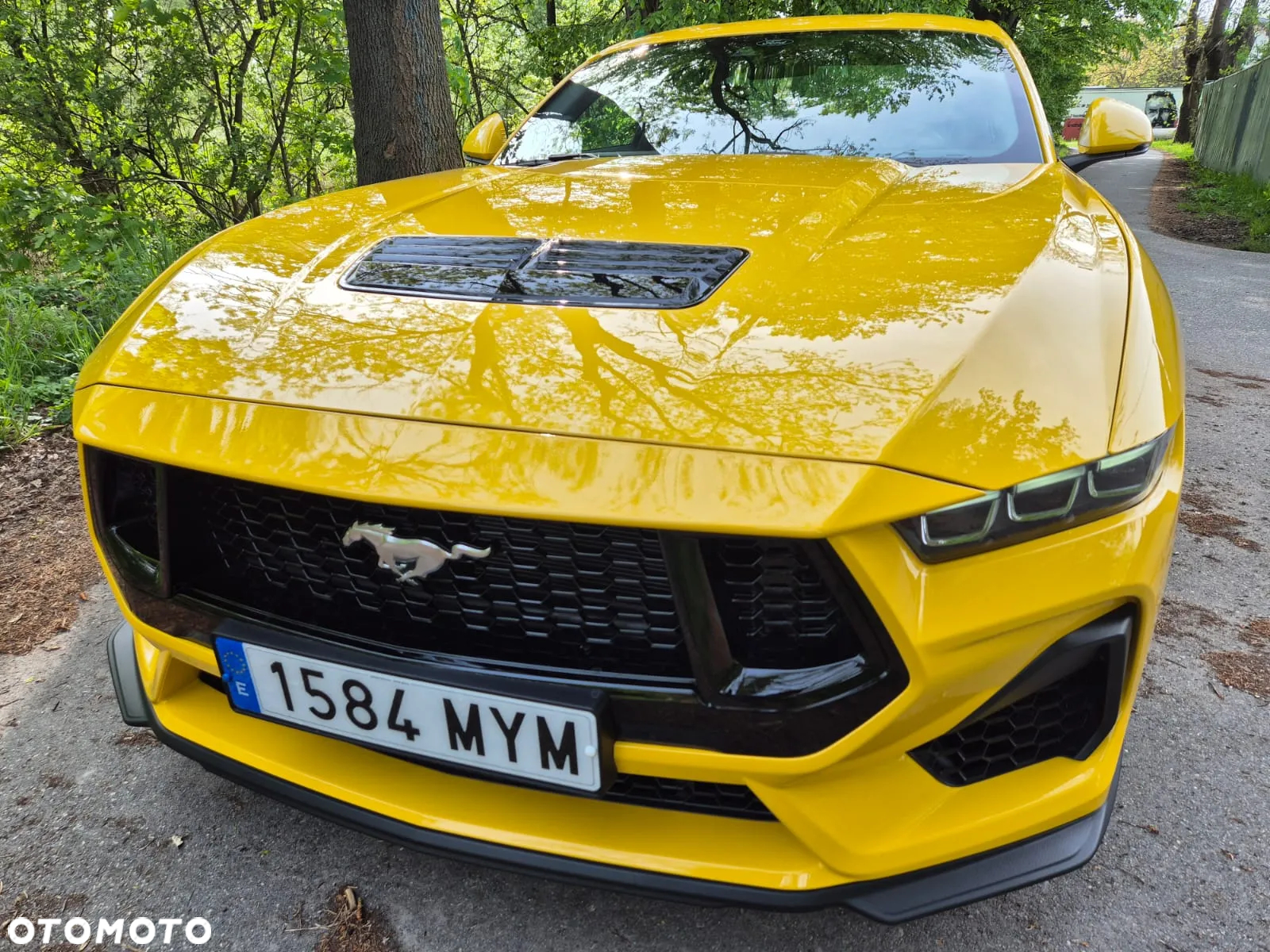 Ford Mustang Fastback 5.0 Ti-VCT V8 GT - 14