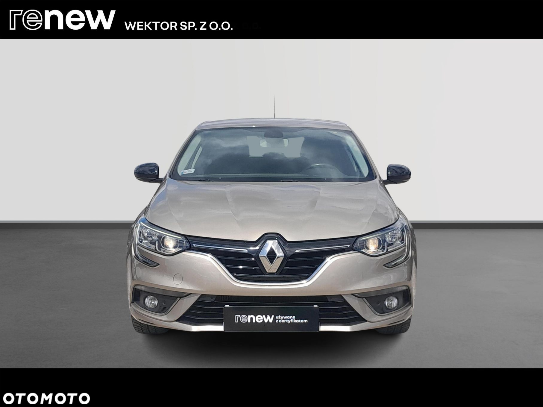 Renault Megane 1.3 TCe FAP Limited - 8