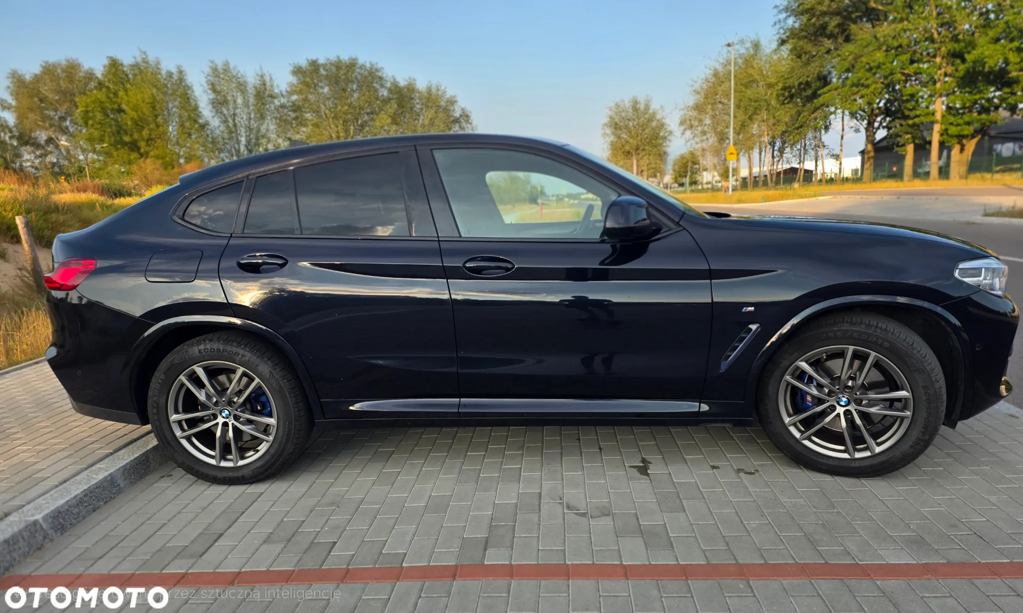 BMW X4 xDrive30i GPF M Sport X sport - 10