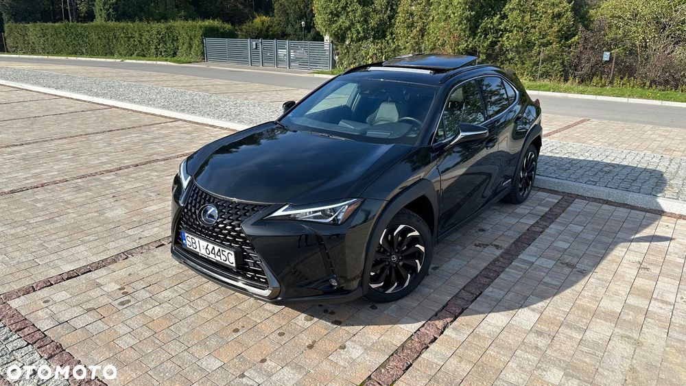 Lexus UX 250h GPF Prestige AWD - 2