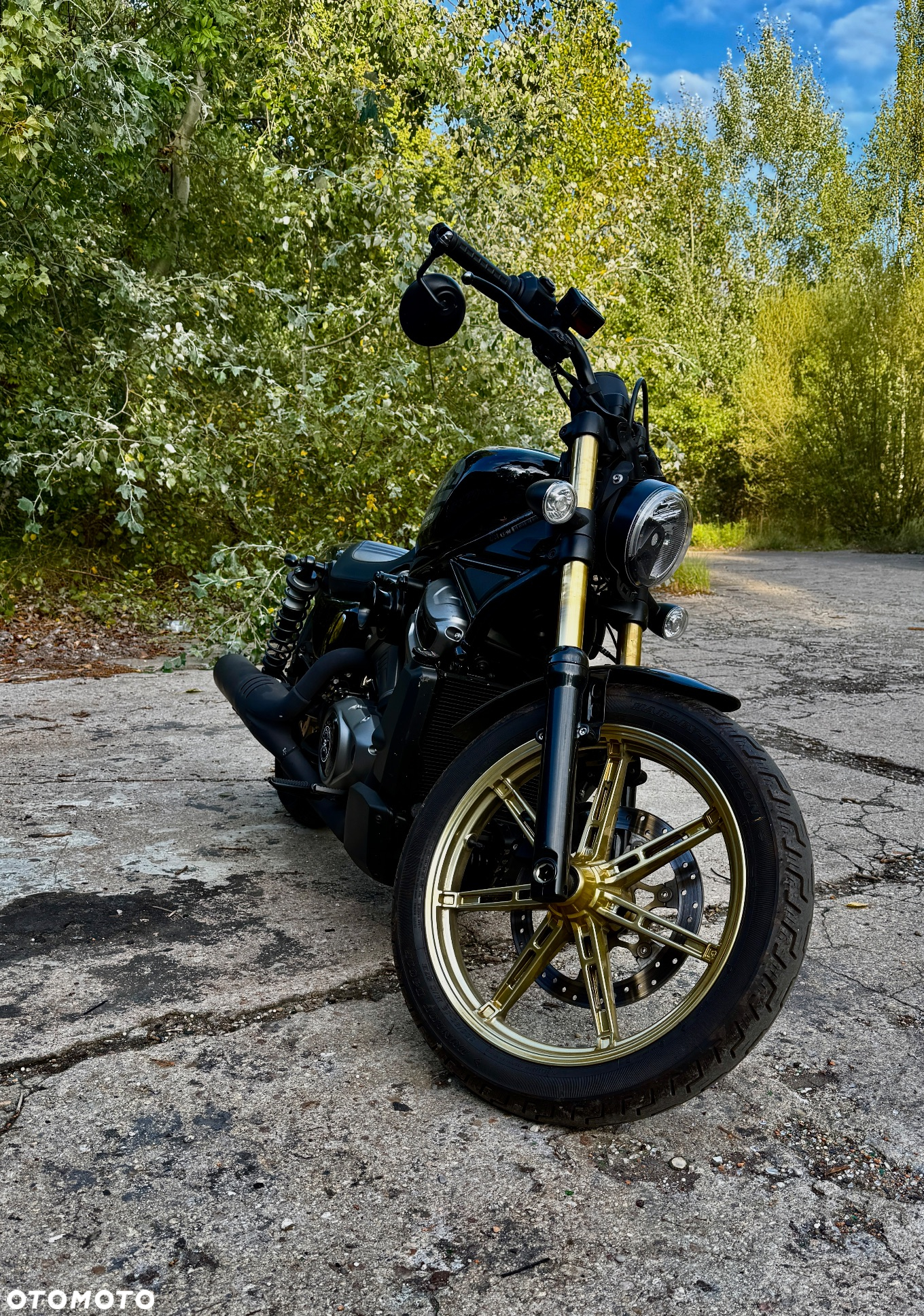 Harley-Davidson Sportster Nightster 975 - 11