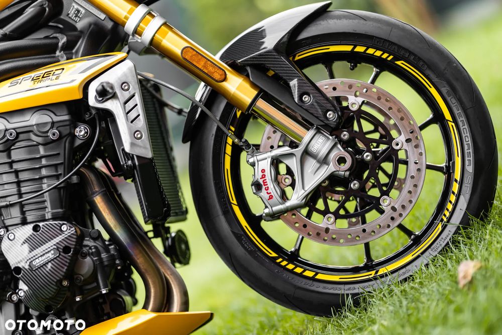 Triumph Speed Triple - 14