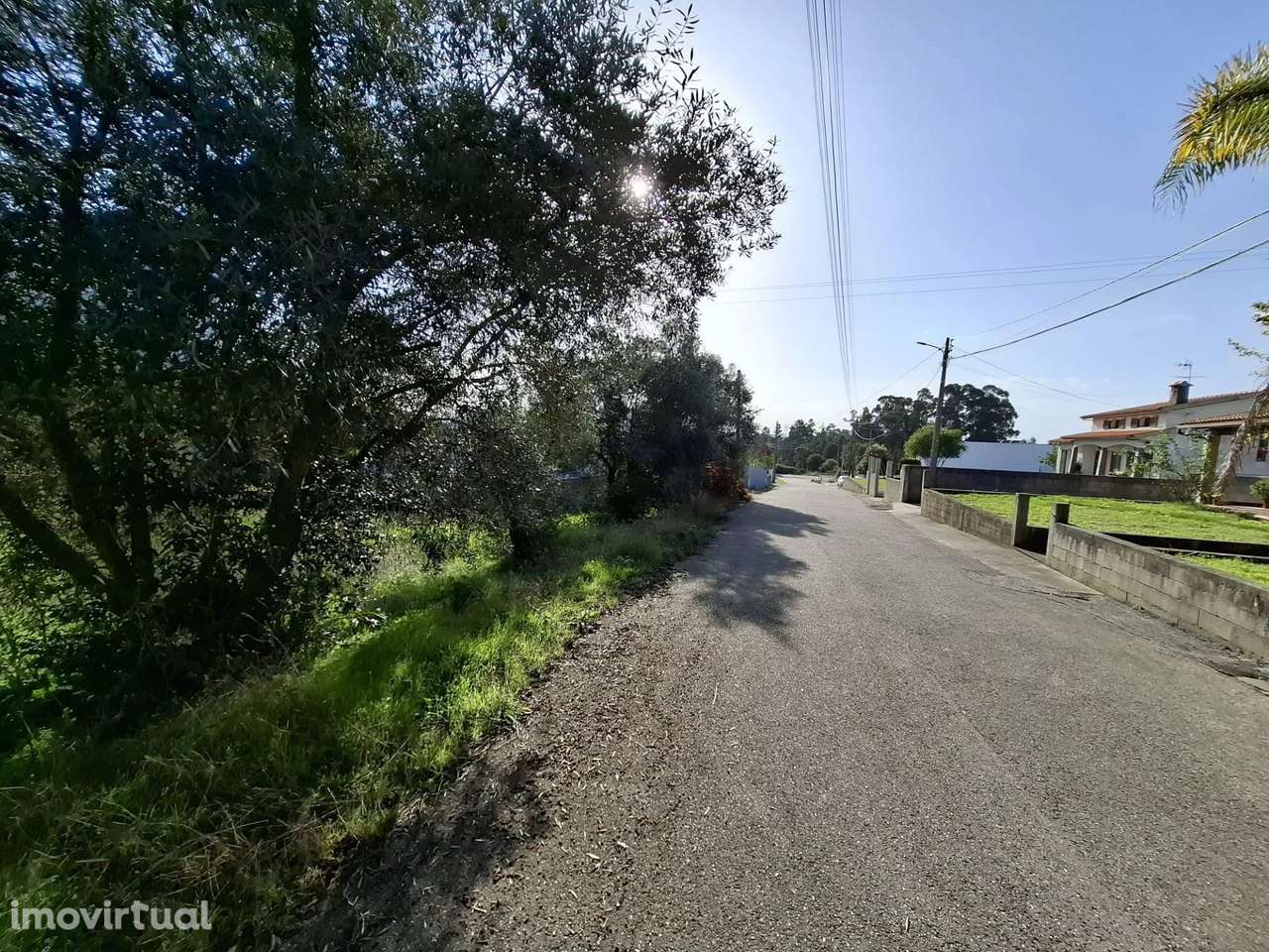 Terreno Urbanizável em Sangalhos | 1.600m² | Frente de 22m - Grande imagem: 5/9