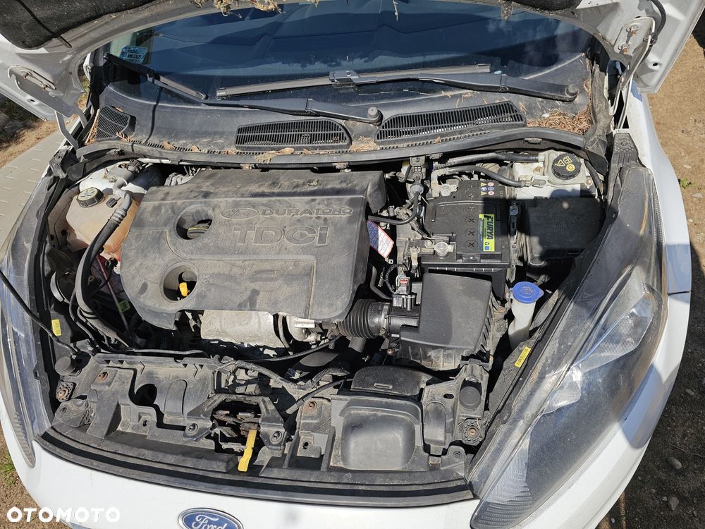 Ford Fiesta - 6