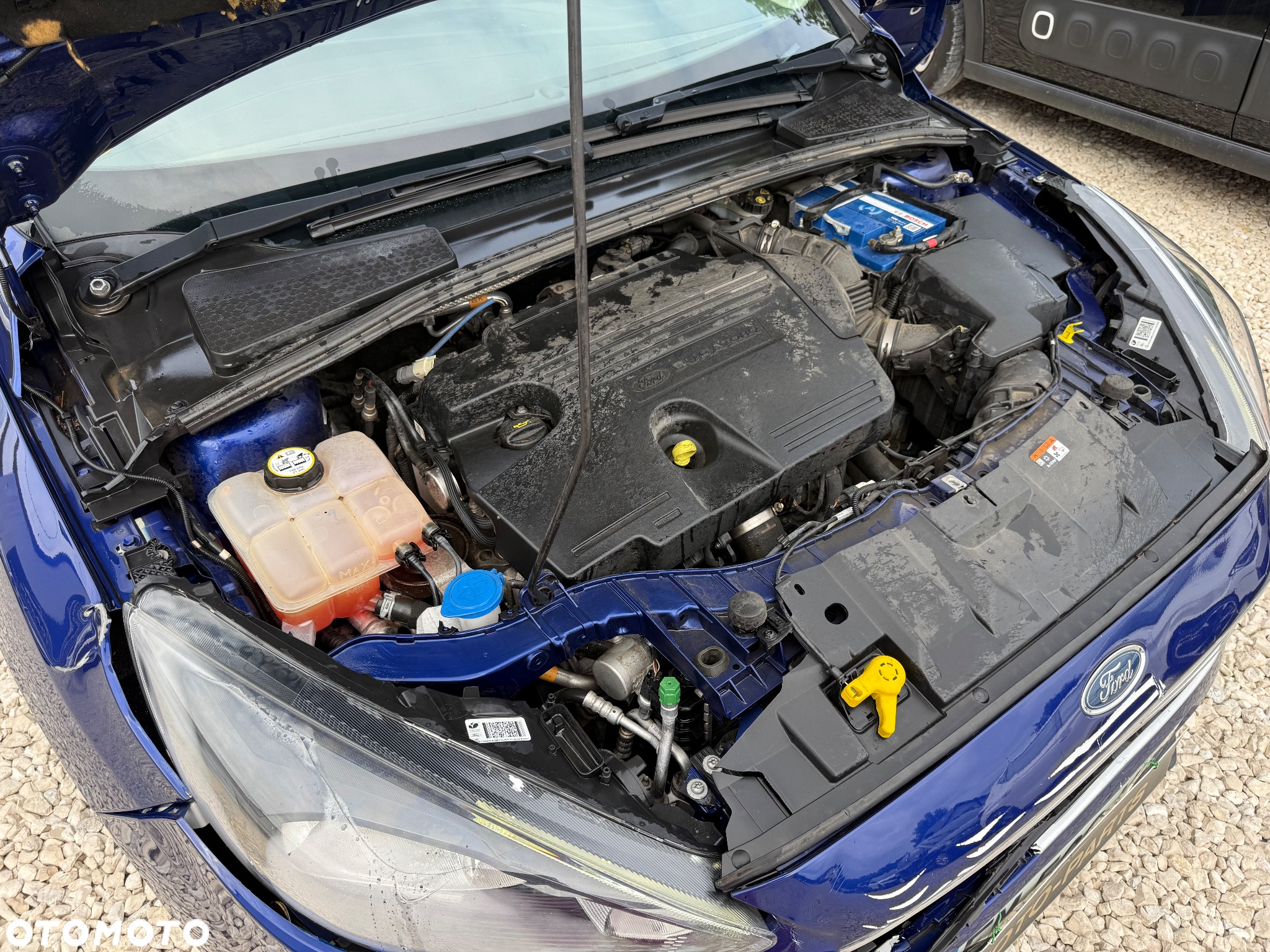 Ford Focus - 18