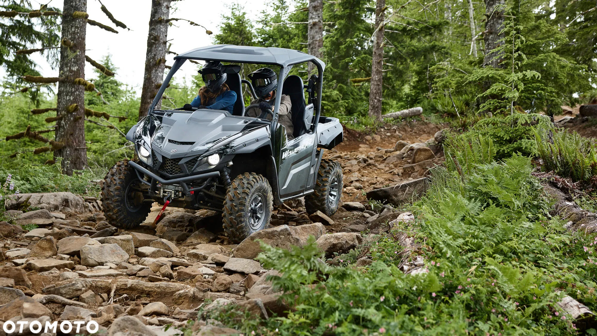Yamaha Wolverine - 5