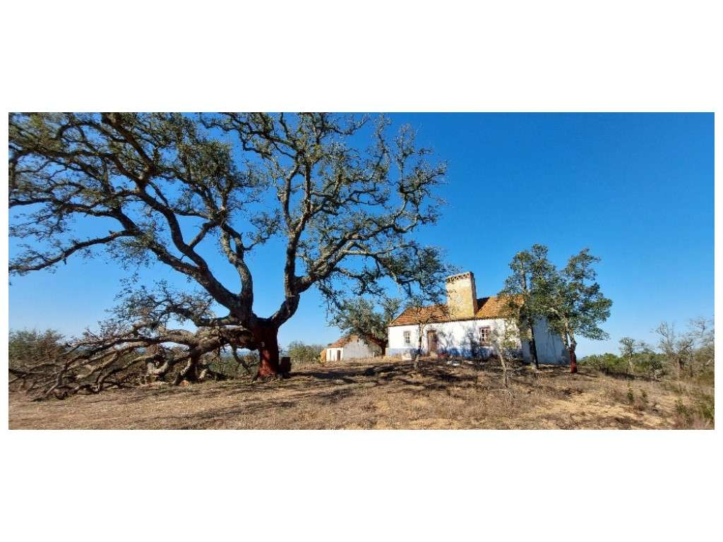 QUINTA, vista mar (5.575ha) - Grande imagem: 2/16