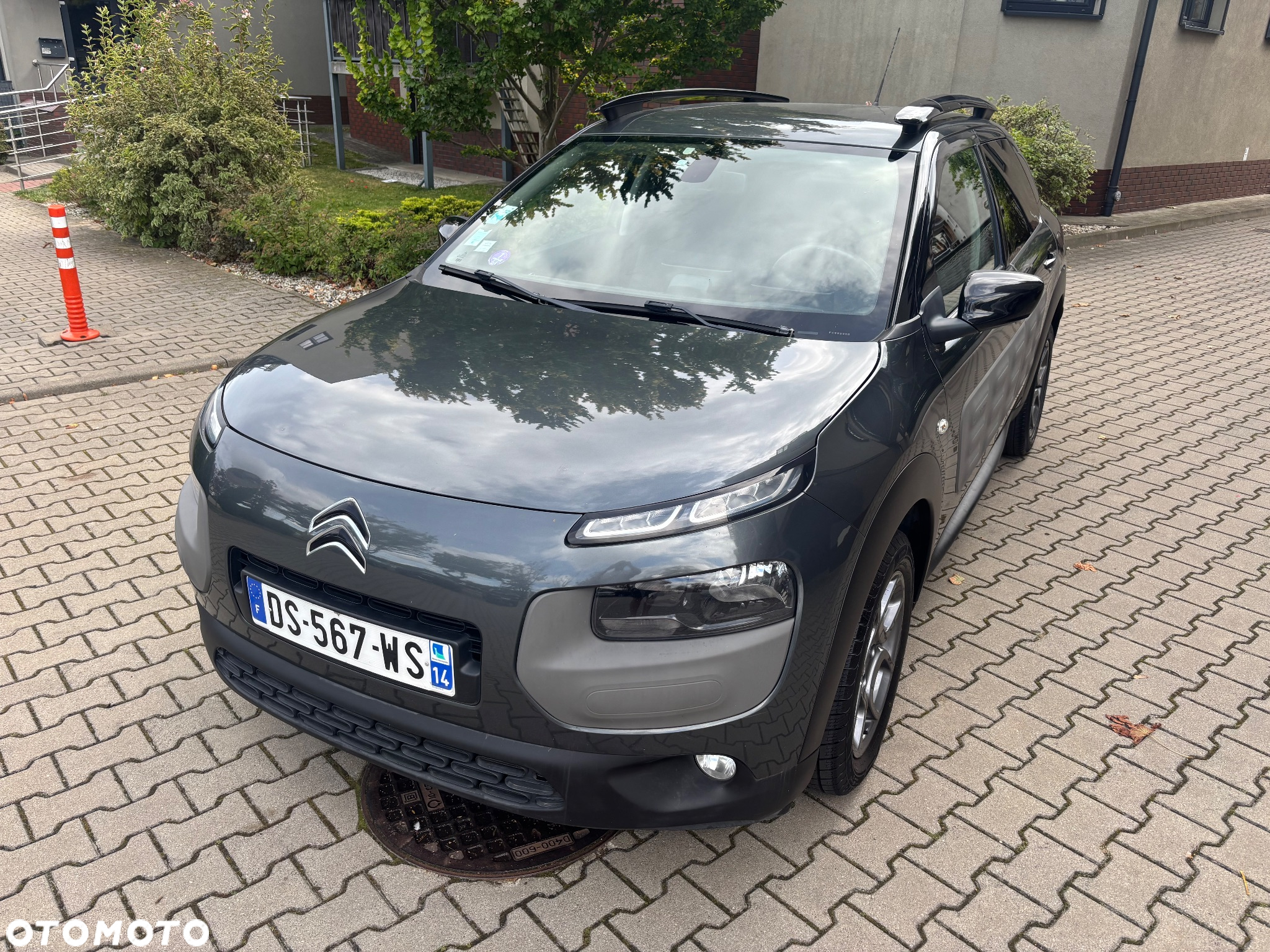 Citroën C4 Cactus 1.2 PureTech Shine S&S ETG - 15