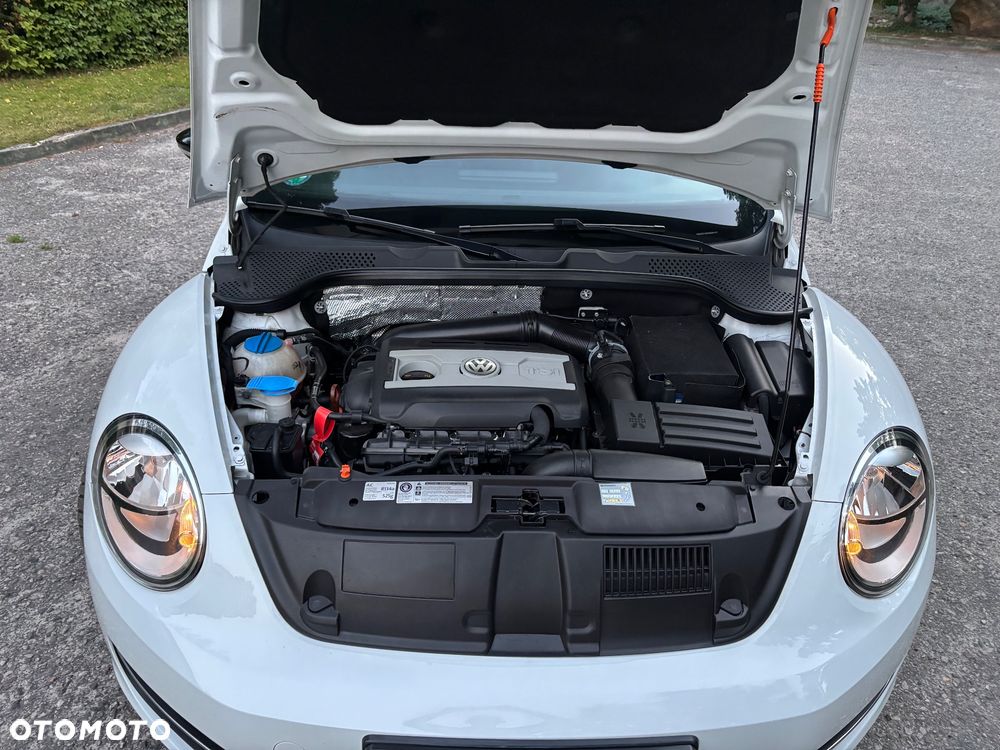 Volkswagen Beetle - 14