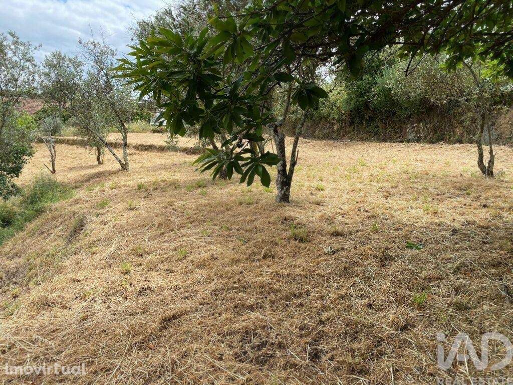 Quinta em Unhais da Serra de 70 m2 - Grande imagem: 2/7