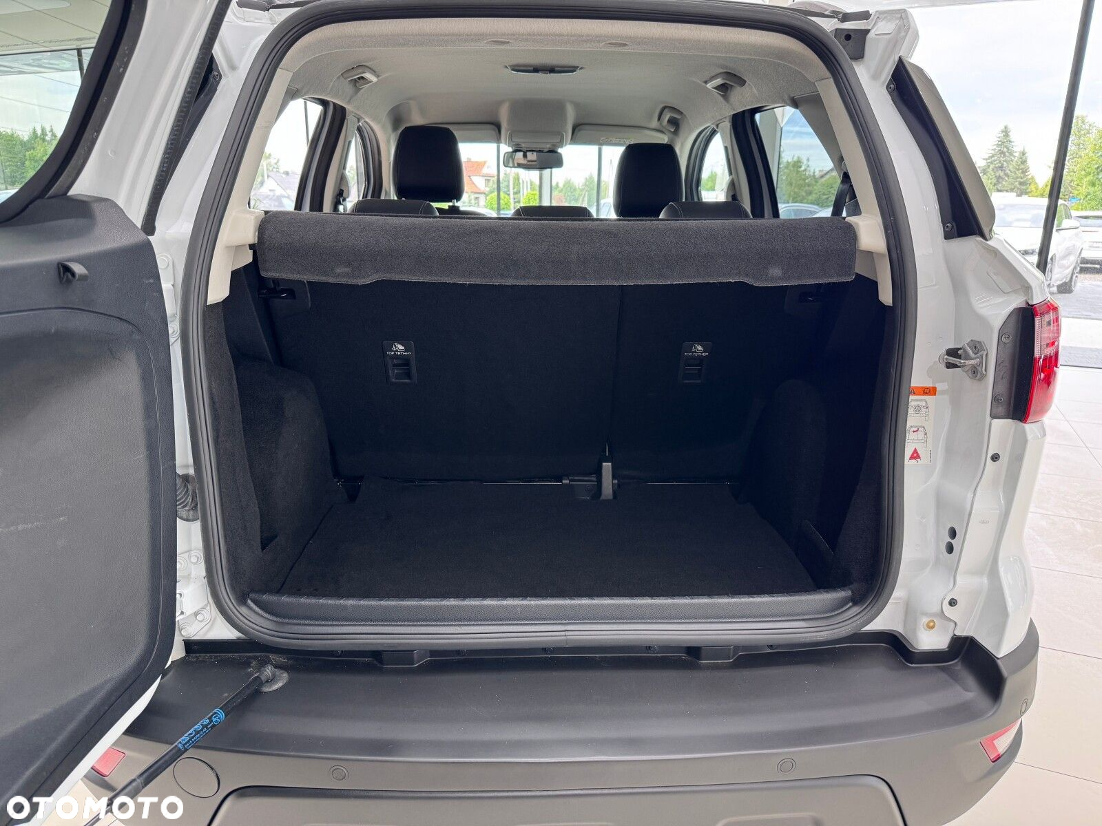 Ford EcoSport 1.0 EcoBoost GPF Active ASS - 17