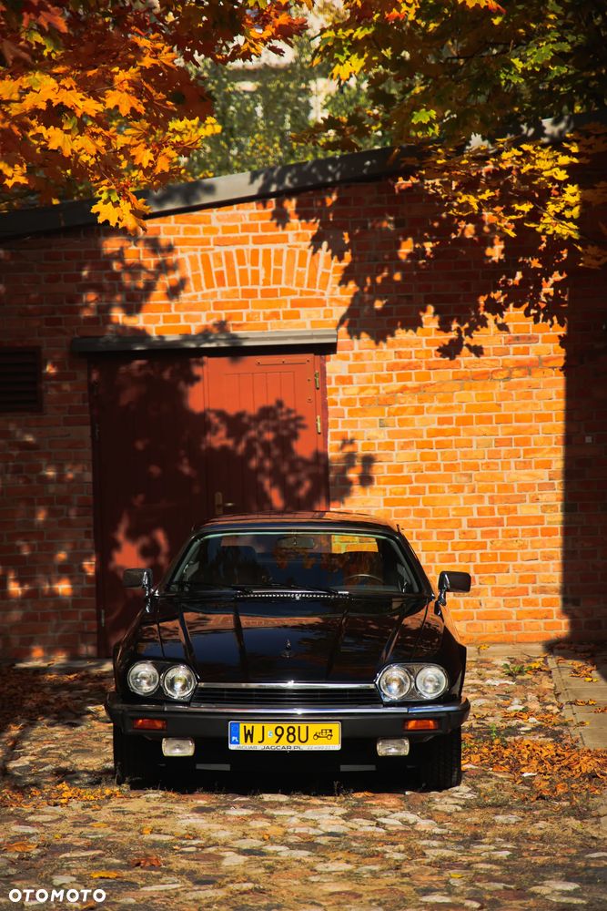 Jaguar XJS 5.3 - 21