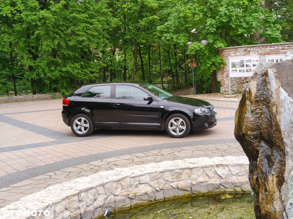 Audi A3 3-drzwiowe 1.6 FSI Ambiente - 13