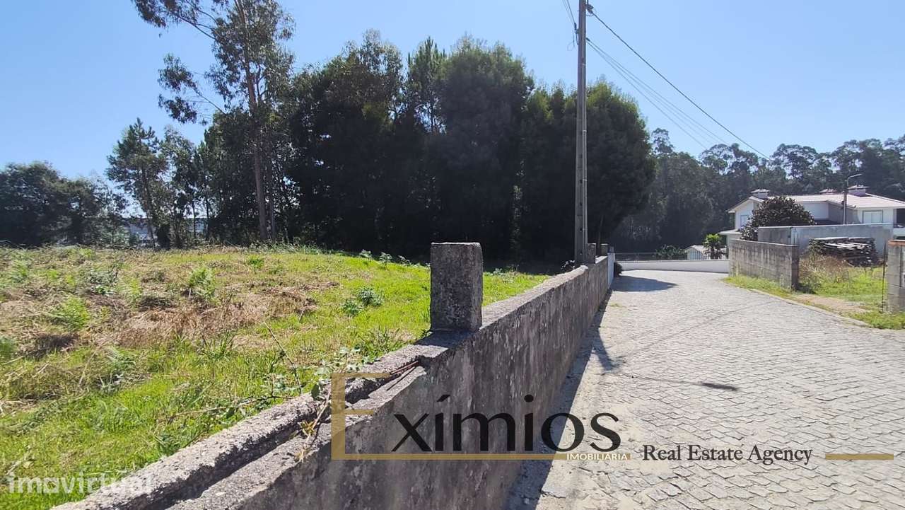 Terreno Rústico com 3767m2, em Negreiros, Barcelos - Grande imagem: 5/6