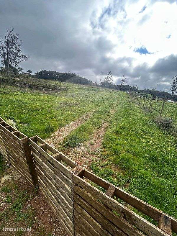 Terreno  para venda - Grande imagem: 5/6