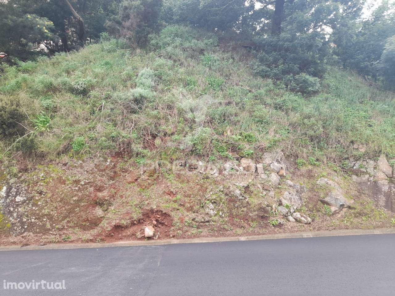 Terreno Rústico em Gaula 1.240 metros - Grande imagem: 4/7
