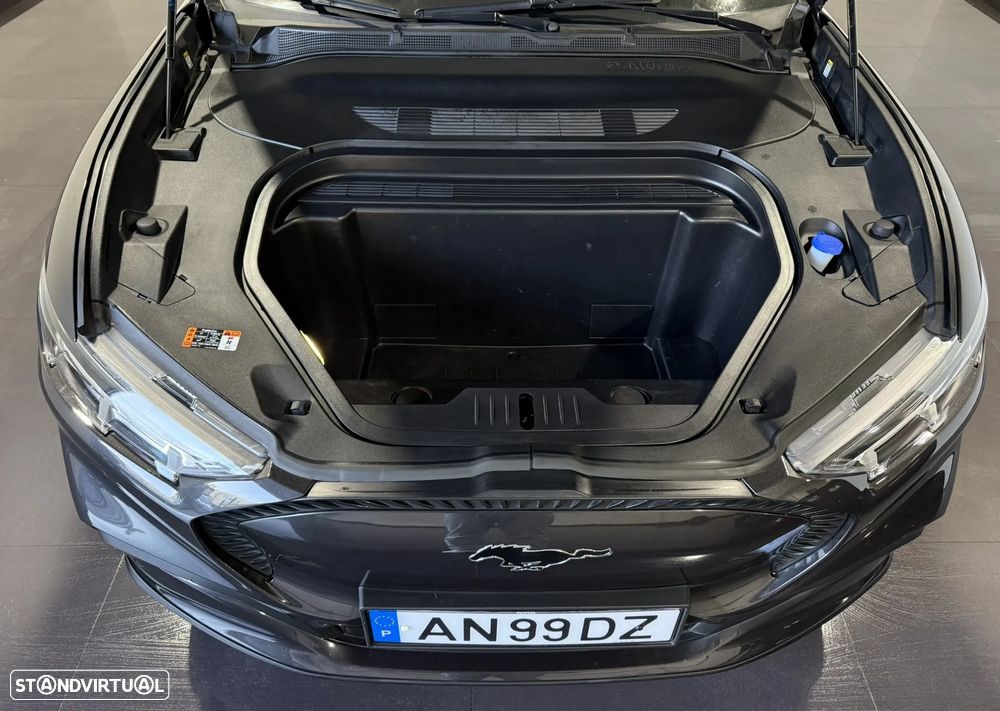 Ford Mustang Mach-E Standard - 50