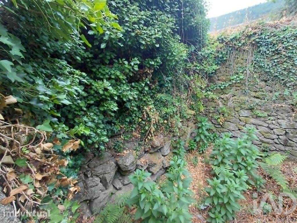 Terreno Agrícola em Chaviães e Paços - Grande imagem: 4/10