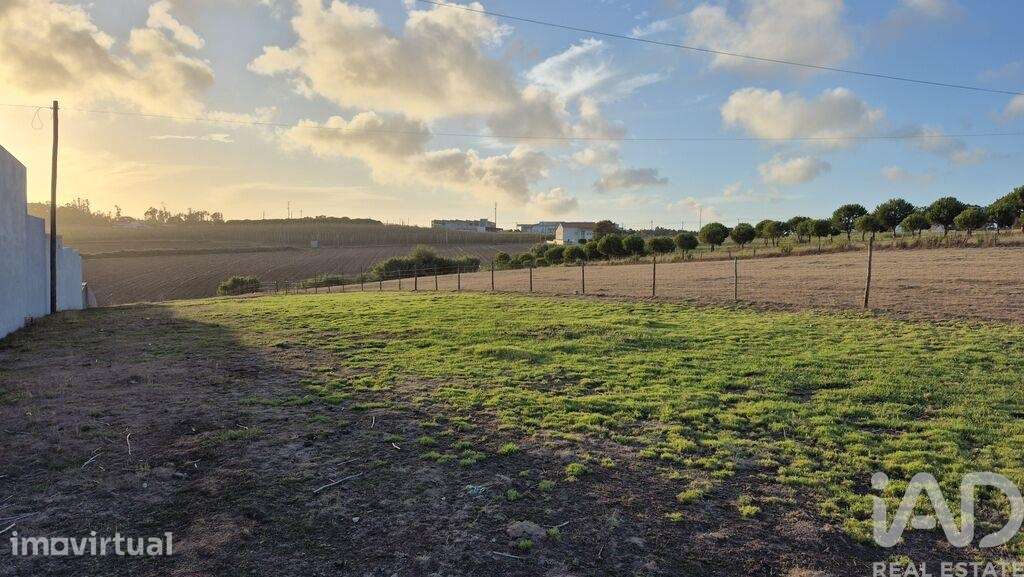 Terreno Agrícola em Bárrio - Grande imagem: 4/9