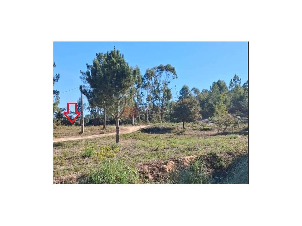 Mafra - Ericeira - Terreno para moradia com vista sobre o vale - Grande imagem: 2/9