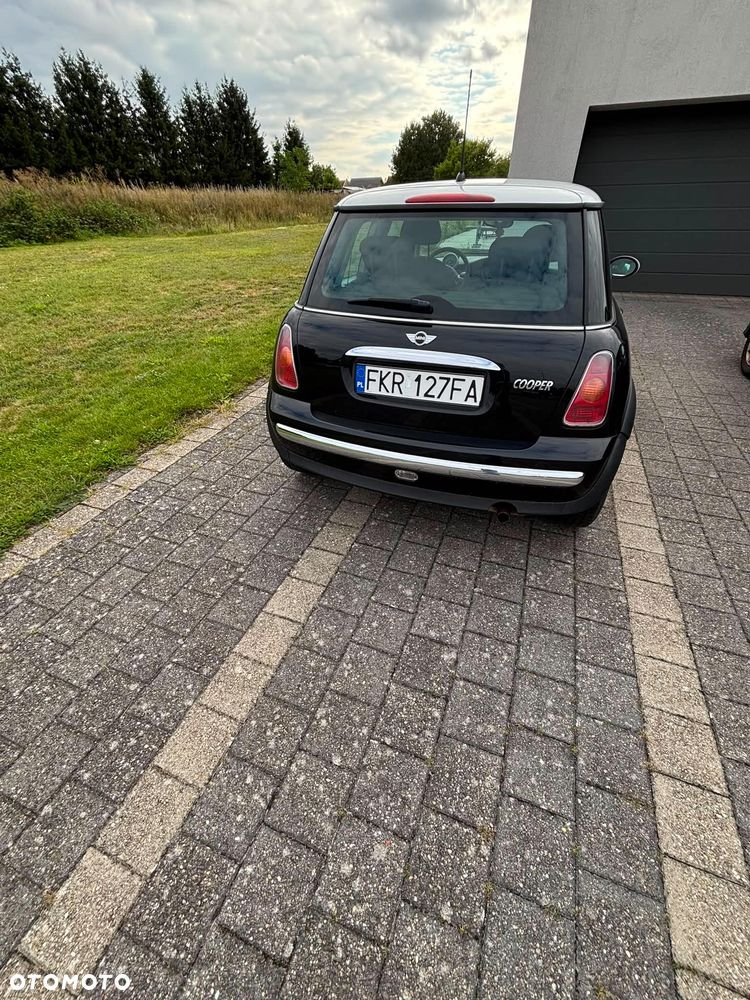 MINI Cooper chili - 10