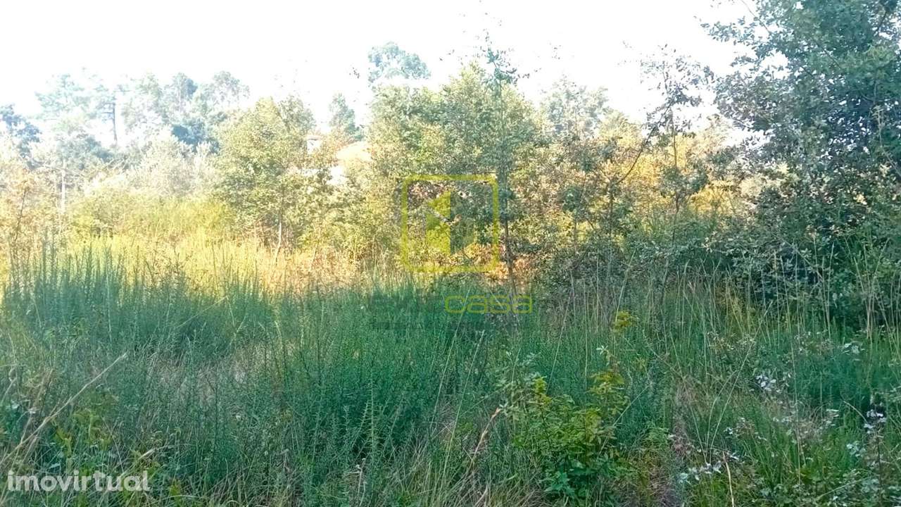 Terreno para Construção - Grande imagem: 4/12