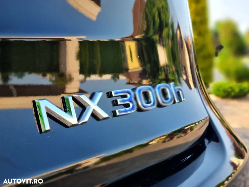 Lexus Seria NX 300h AWD Executive Plus - 20