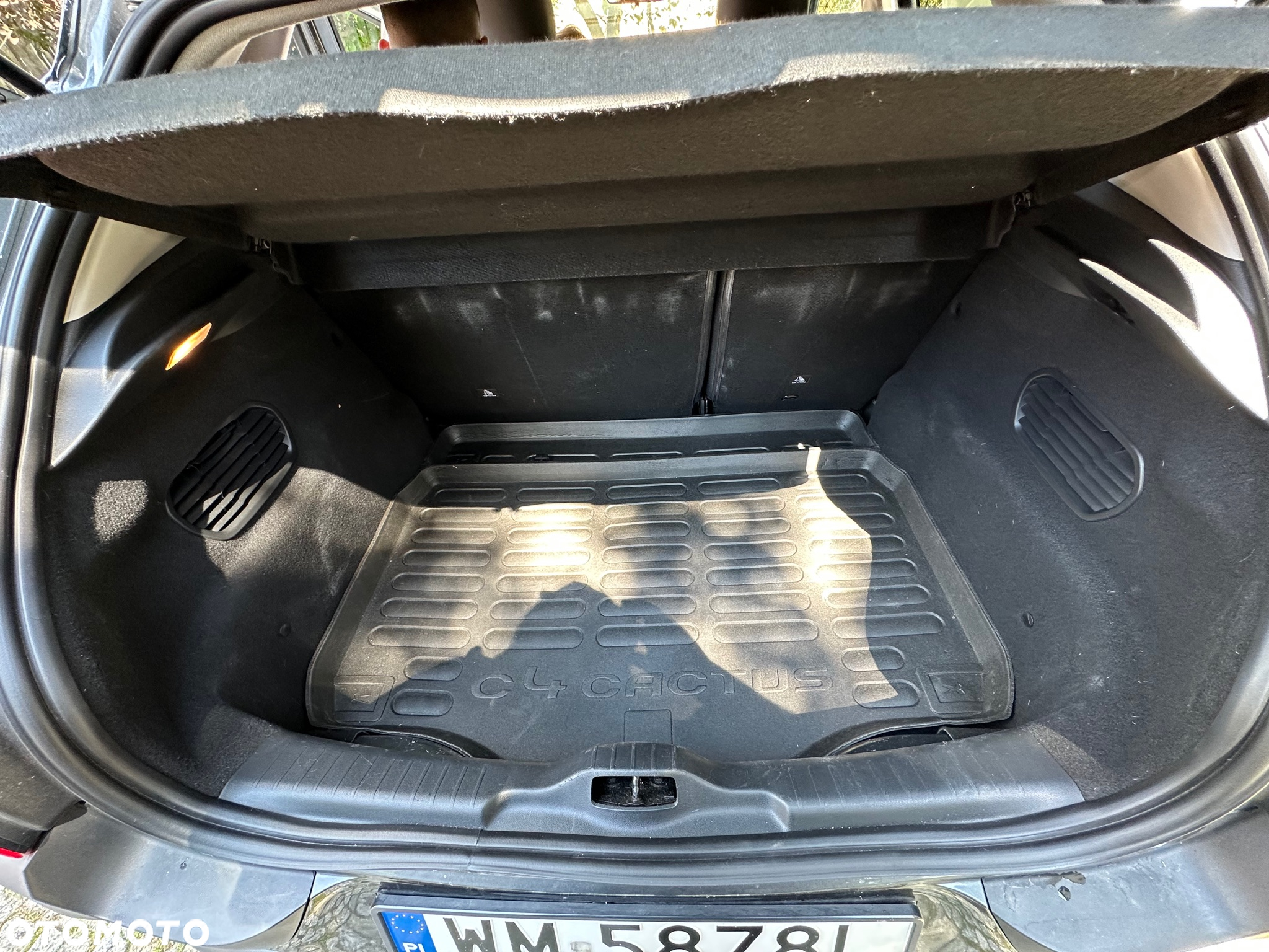 Citroën C4 Cactus - 12