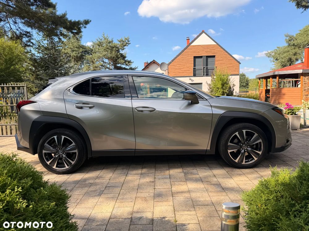 Lexus UX 250h GPF Business 2WD - 2