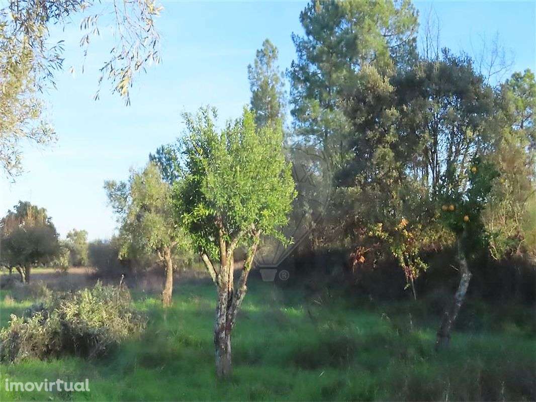 Quinta  para venda - Grande imagem: 3/32