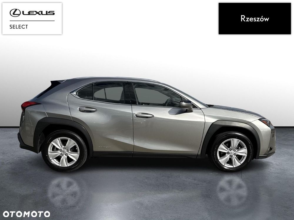 Lexus UX 250h GPF Business Edition 2WD - 6