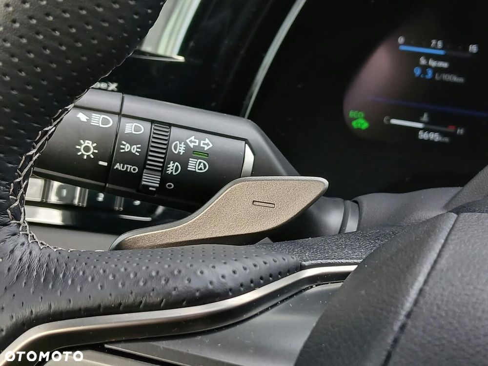 Lexus RX - 40