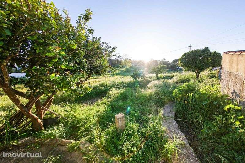 São Luís – Bairro Azul: Moradia com Potencial e Jardim - Grande imagem: 3/12