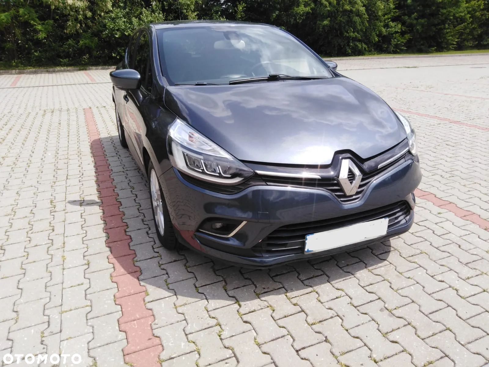 Renault Clio - 29