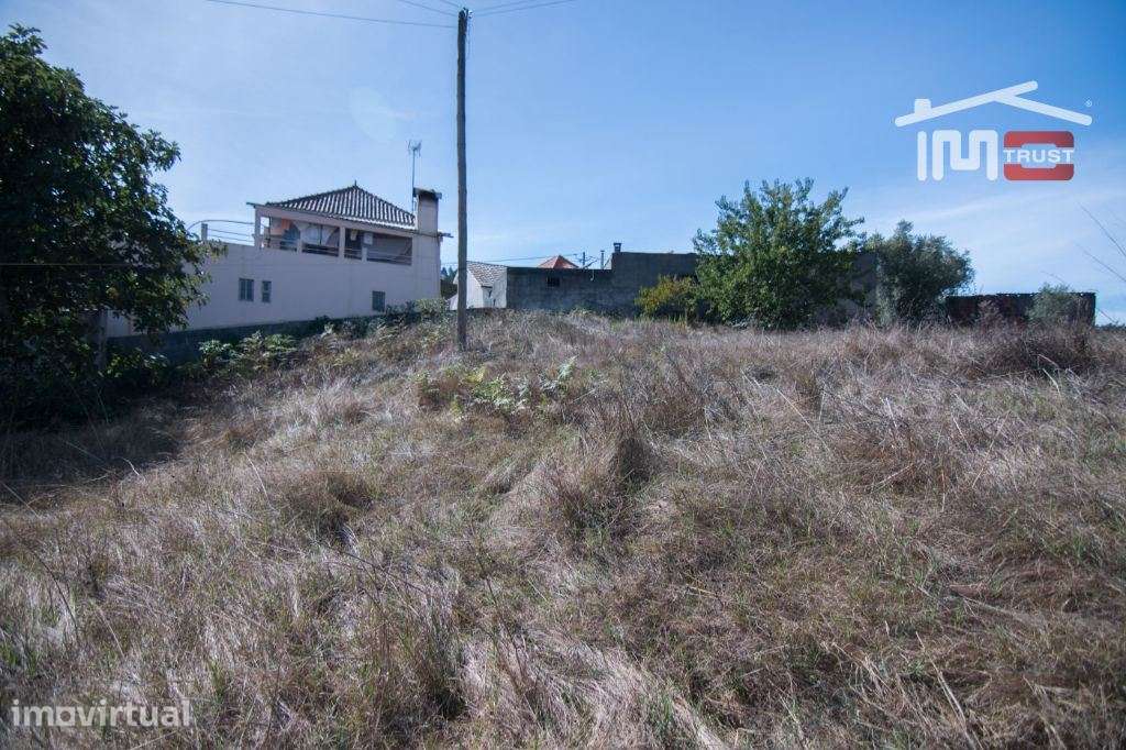 Terreno para construção centro de Albergaria dos Doze - Grande imagem: 4/8