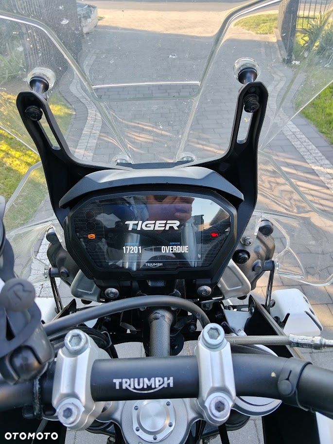Triumph Tiger - 6