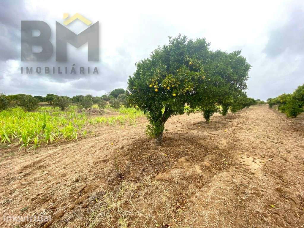 Propriedade com 7.800m2 - Grande imagem: 5/21