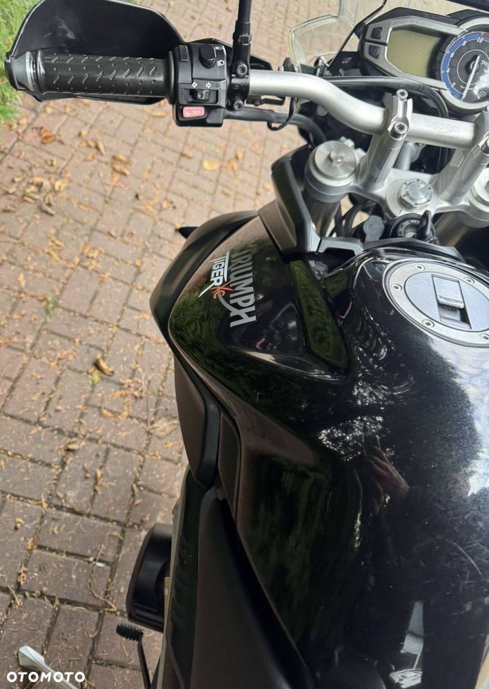 Triumph Tiger - 19