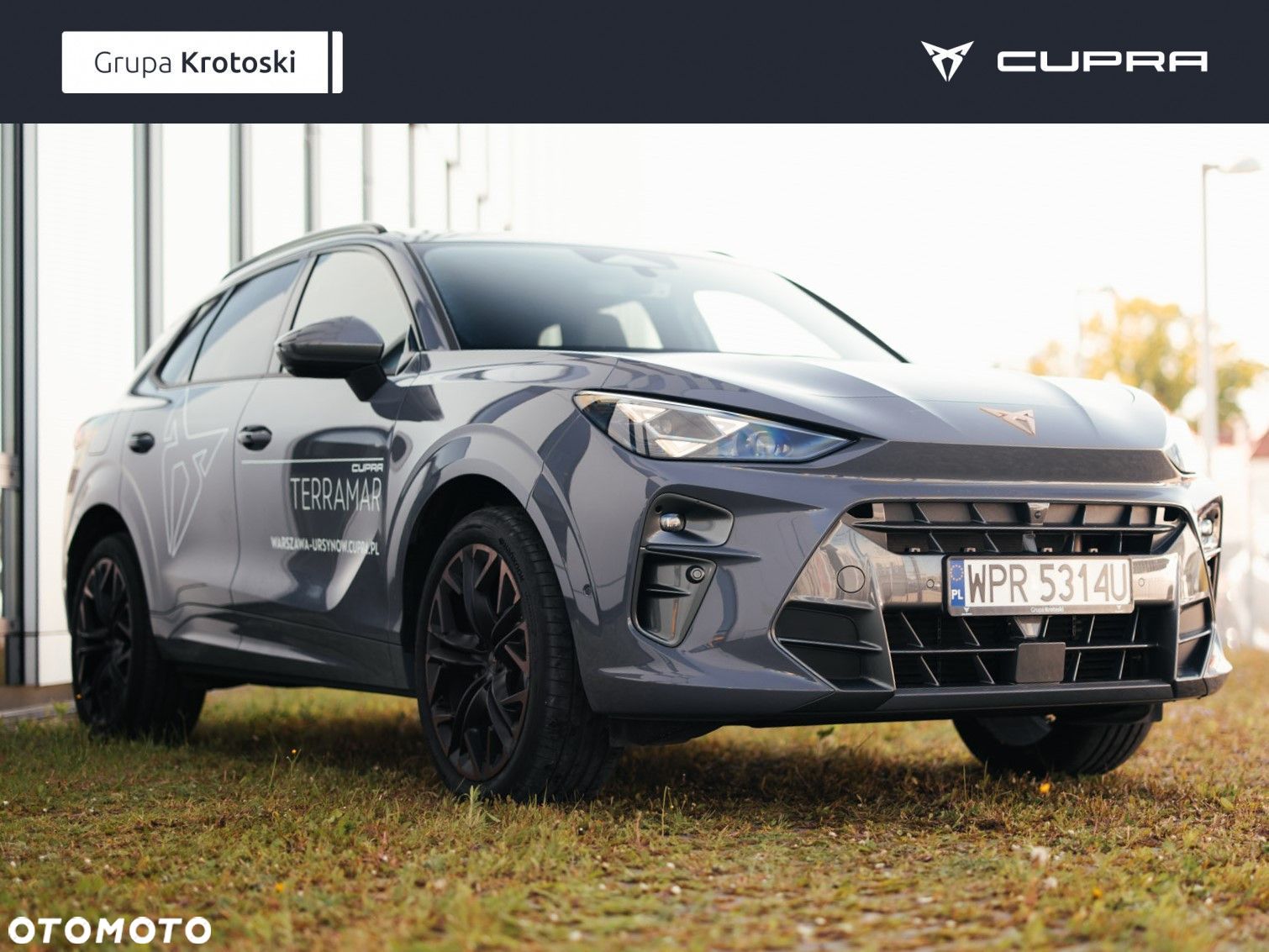 Cupra Terramar - 1