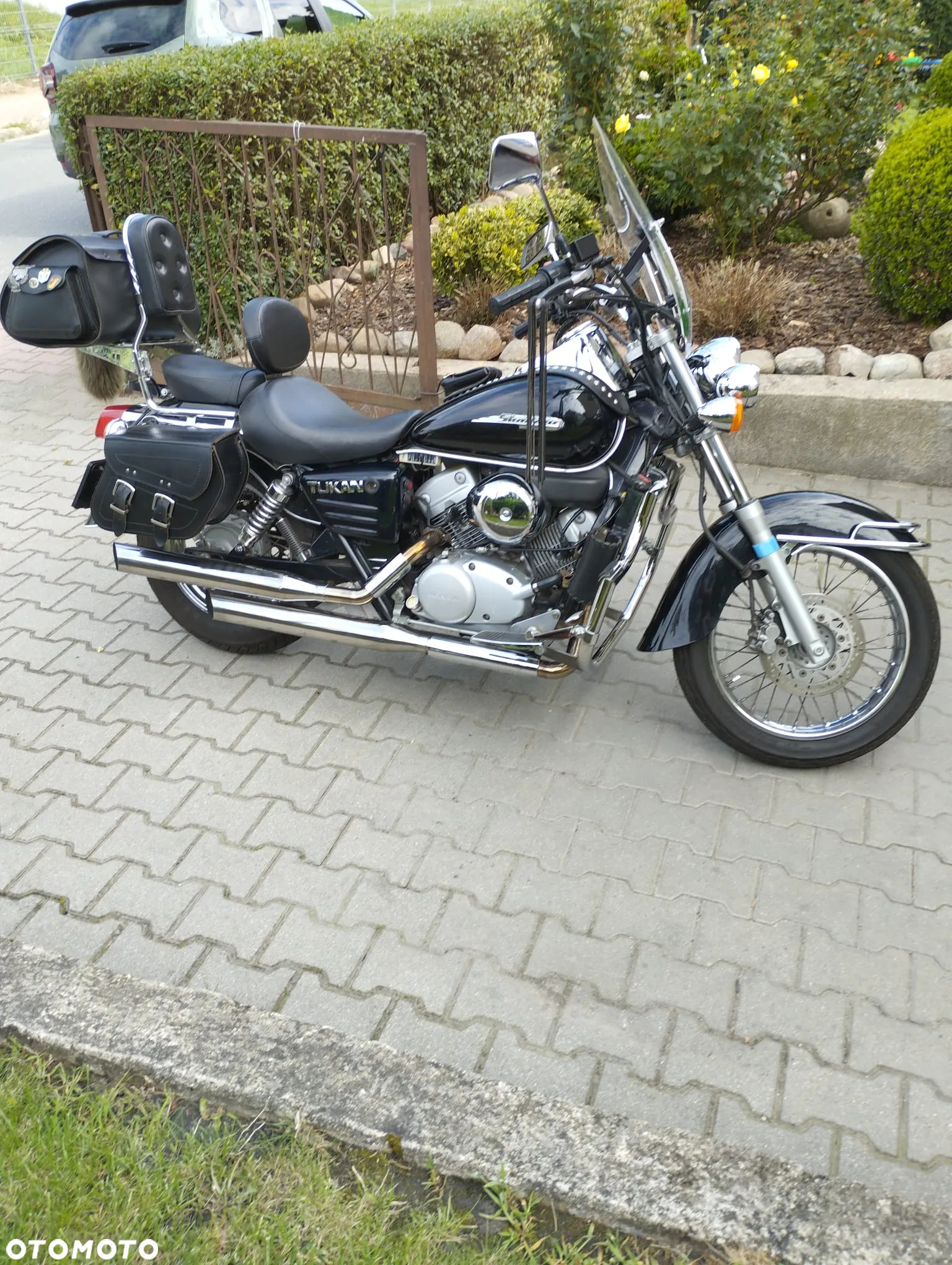 Honda Shadow - 5