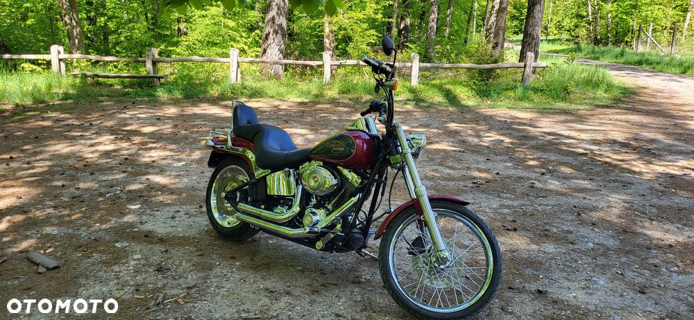 Harley-Davidson Softail Custom - 6