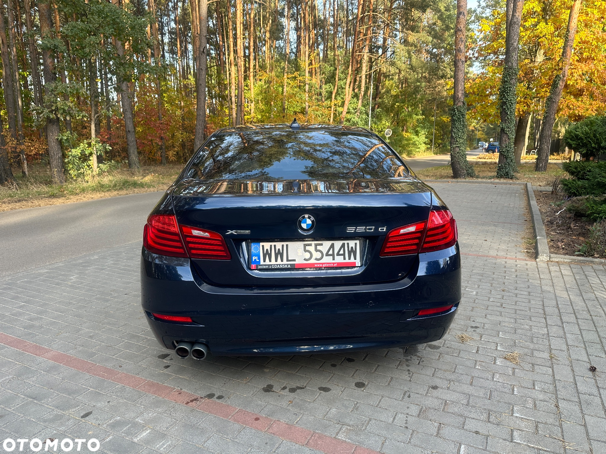 BMW Seria 5 520d xDrive - 5