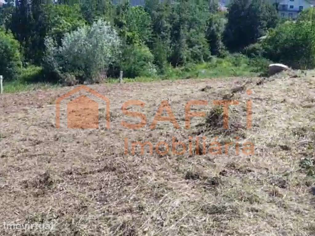 Terreno de cultivo - Grande imagem: 3/5