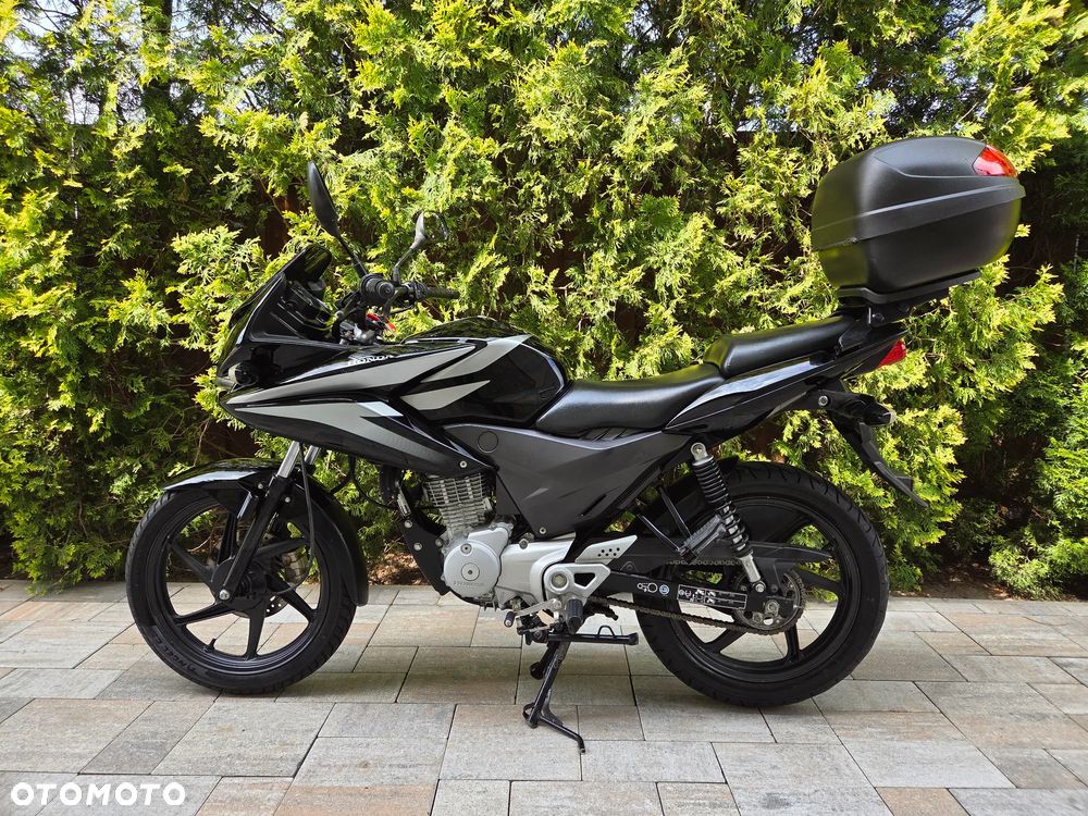 Honda CBF - 5