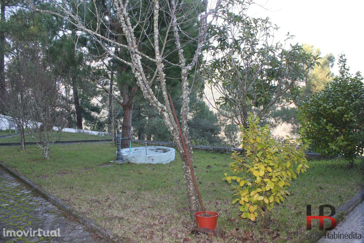 Quintinha no Douro, Baião. - Grande imagem: 2/20