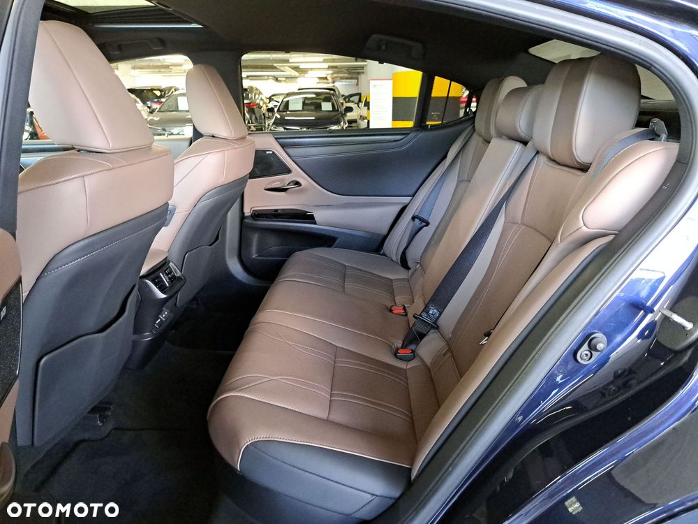 Lexus ES 300h Omotenashi - 14