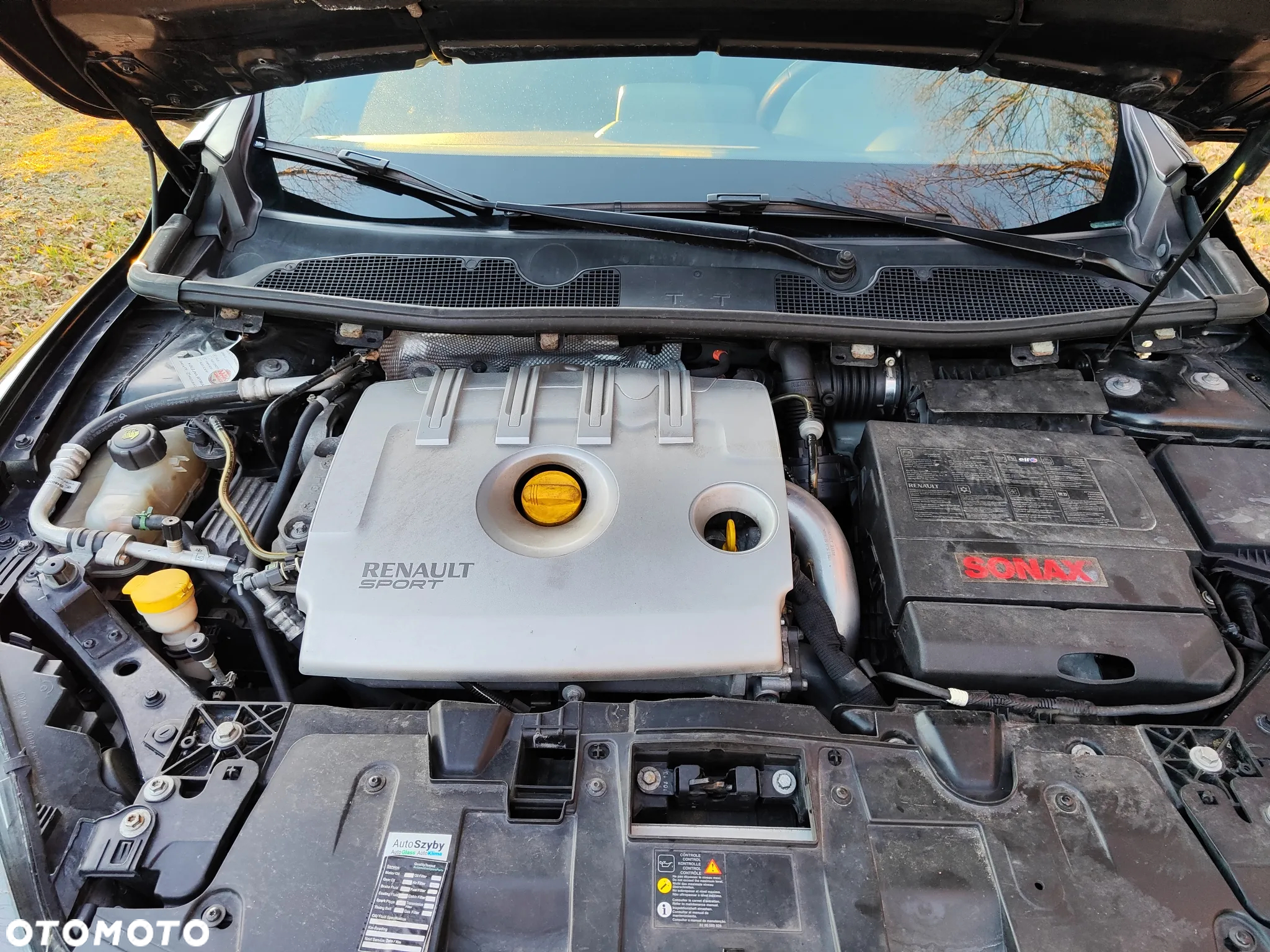 Renault Megane R.S EU6 - 15