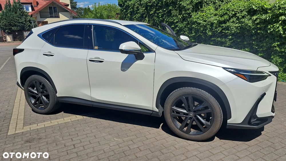 Lexus NX - 10