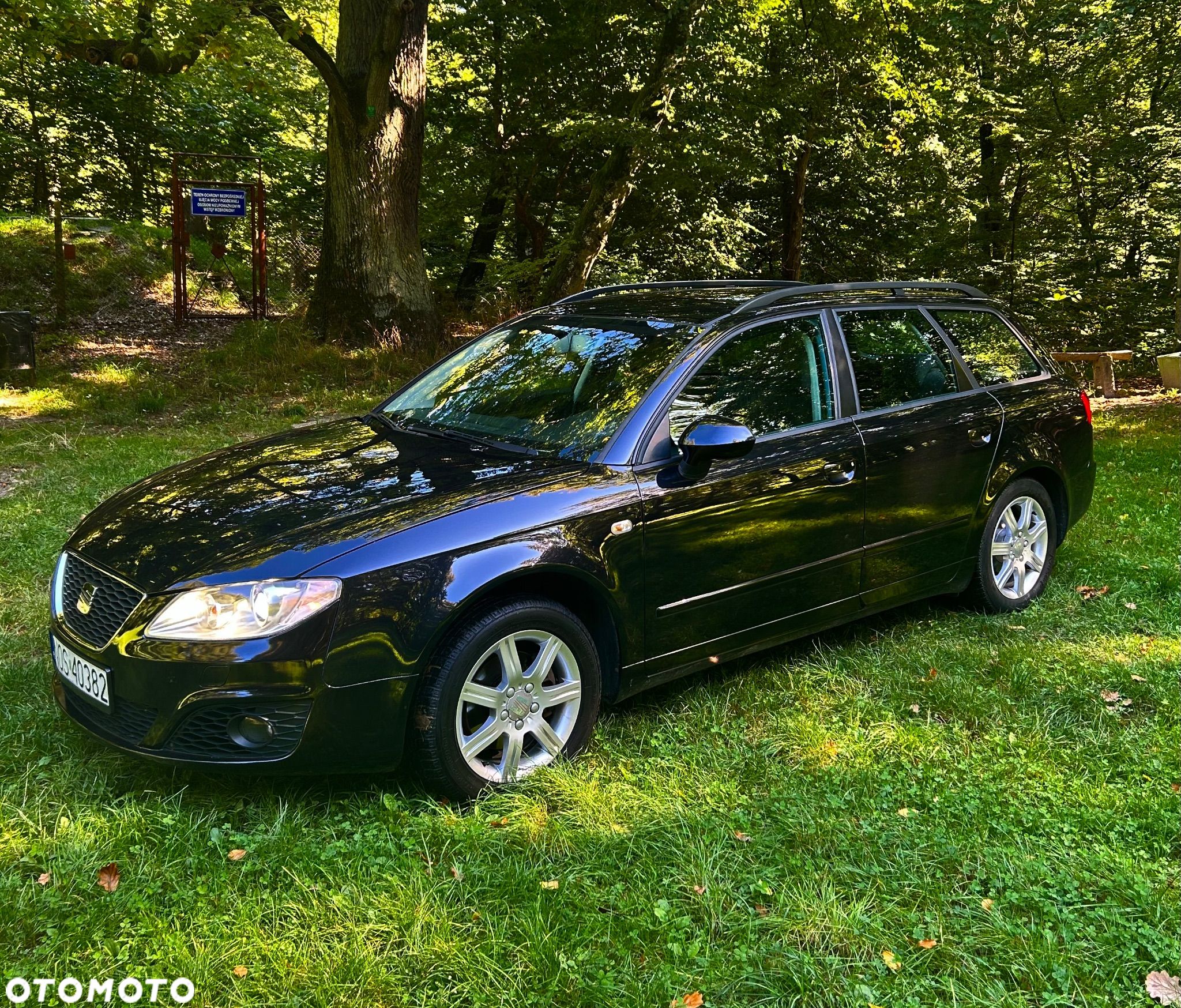 Seat Exeo - 1
