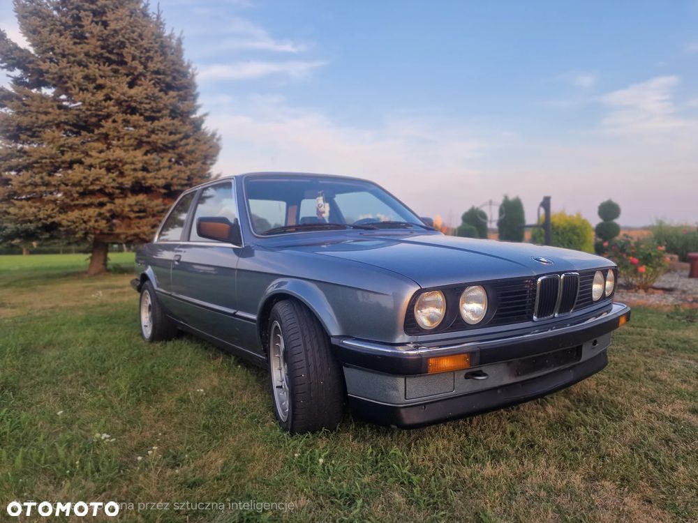 BMW Seria 3 318i - 5